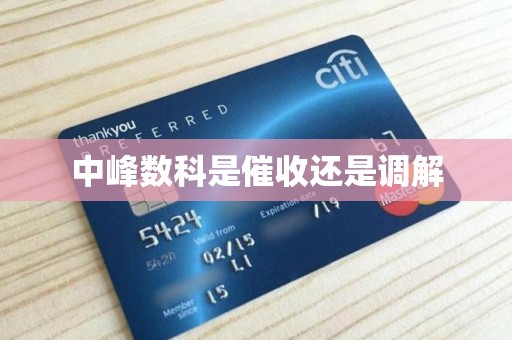 中峰數(shù)科是催收還是調(diào)解